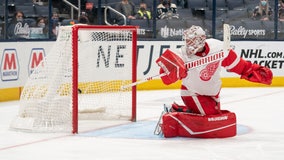 Domi's OT goals lifts Blue Jackets over Red Wings in finale