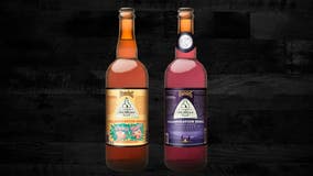 Founders teams up with local artists for Crafted in Michigan beers