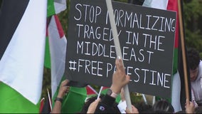 Day 2 of protest take place in Dearborn following the violence against Palestinians