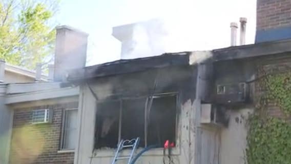 Dog killed in Clawson apartment fire