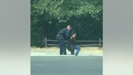 Video captures officer helping blind man after he fell while crossing the street