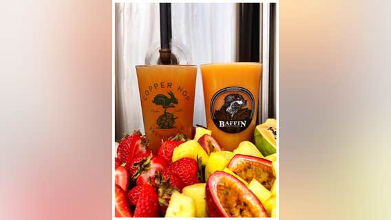 St. Clair Shores breweries team up to brew 2 fruity collaboration beers just in time for summer