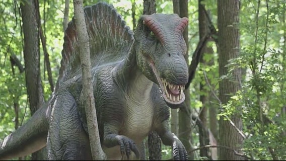 Walk among life-size dinosaurs at Canterbury Village's Dino Stroll