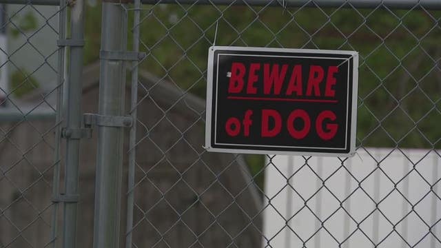 Two young boys injured in dog attacks this week with incidents on rise