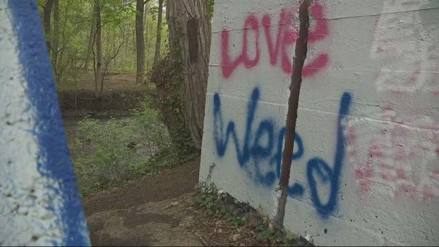 Rampant vandalism at Commerce Twp park causes crackdown