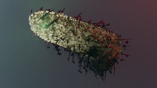 Michigan identifies 1st case of rabies in dog since 2011 after Detroit puppy tests positive