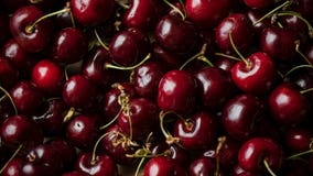 A guide to the 2021 National Cherry Festival in Traverse City