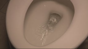 Victim grabs pen recorder from Peeping 'Tom' in UM-Dearborn bathroom