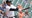 Tigers rally early behind Schoop, beat Mariners 8-3