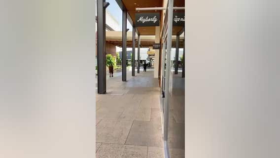 Witness video shows group who stole over $100,000 in high-end Louis Vuitton handbags