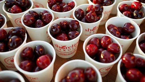 Late spring frost wreaks havoc on Michigan cherry growers