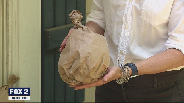 Super Simple DIY Way to Get Carpenter Bees to Leave Your Home