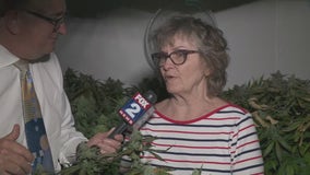 Pot growing grandma takes on Ypsilanti Twp. over medical marijuana operation in basement