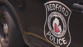 9-year-old girl sexually assaulted during Redford Township break-in