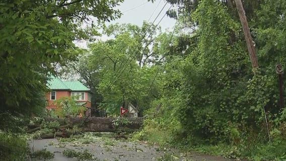Cleanup underway after storm damage impacts Farmington area
