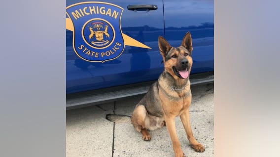 MSP K9 Rex killed in crash with suspected drunk driver