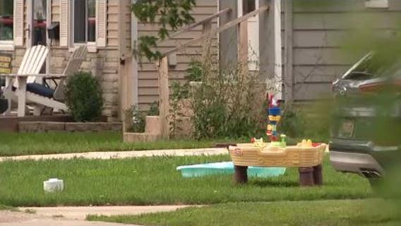 Pit bull attacks owner, firefighter in Madison Heights