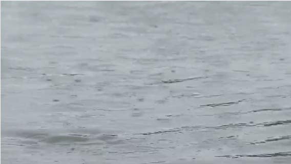 Flood Watch issued for parts of Southeast Michigan -- How much rain is expected