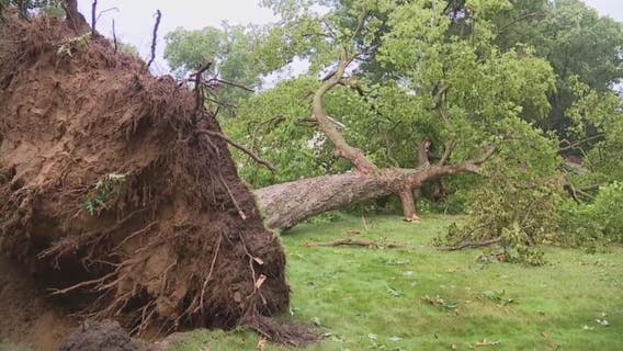 State of Emergency declared for Farmington, Farmington Hills, Southfield after severe thunderstorms
