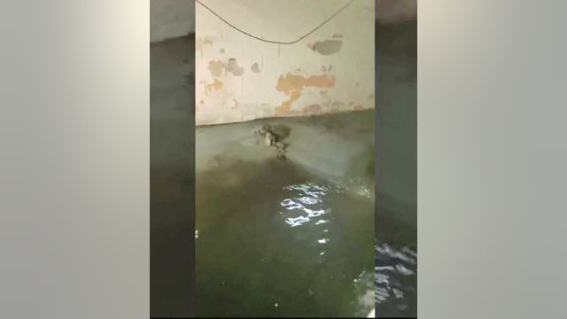 Basements hit with flooding again on Detroit's east side as residents question GLWA pumps