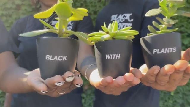 The Plant Economy is a growing business for man who wanted to bring Black representation into gardening