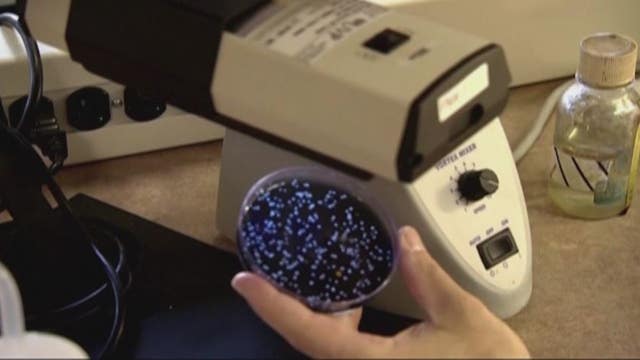 Legionnaires' disease is on the rise in Michigan and this expert explains why