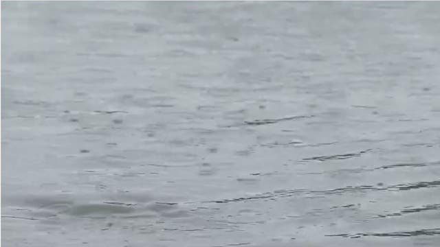 Flood Watch issued for parts of Southeast Michigan -- How much rain is expected