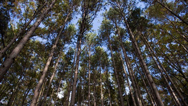 Some Michigan DNR customer service centers to reopen to public