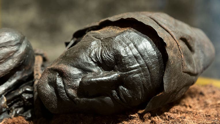 Tollund Man, Bog Body at Silkeborg Museum, Denmark