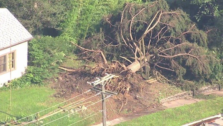 Trees uprooted roofs ripped off power out in most of Armada