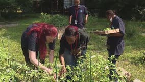 Developmentally disabled adults build skills with community garden by Jewish Community Services