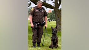 Oakland County Sheriff’s Office K-9 dies after suffering apparent heart attack at 2