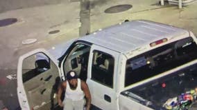 4-year-old killed in hit and run on 7 Mile; suspect turns self in