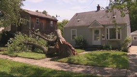 Severe thunderstorms rip through Metro Detroit, toppling trees and flooding streets