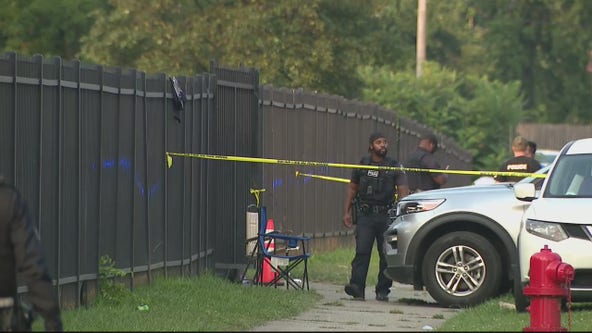 3 teens shot near McCabe Field, 6 people detained