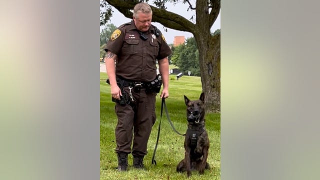 Oakland County Sheriff’s Office K-9 dies after suffering apparent heart attack at 2
