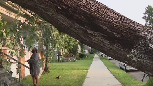 Trail of storm damage includes Wayne County with trees down, power out