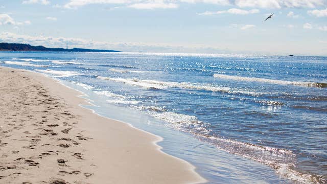 Metro Detroit man among 2 dead after Lake Michigan drowning