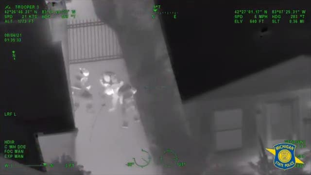 Michigan State Police spot home invasion suspect in Ferndale hiding in bushes