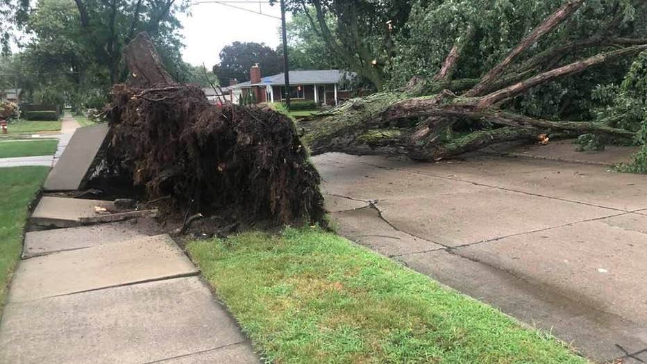A downed tree in Troy. Photo courtesy of Jeff Kuehn.