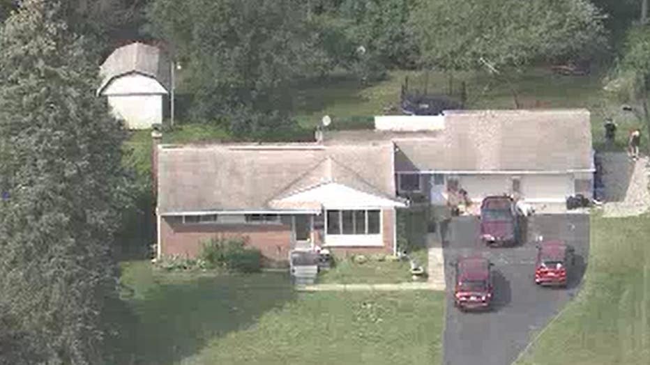More than 80 pets rescued in Oakland County animal hoarding case, 16 cats dead More than 80 pets rescued in Oakland County animal hoarding case, 16 cats dead