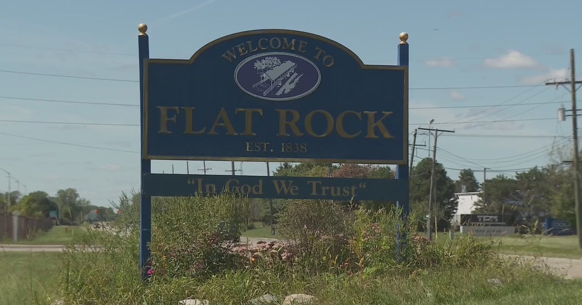 Black Bear spotted in Metro Detroit: Officials investigating Flat Rock sighting