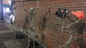 Life-sized skeletons taking over downtown Northville again this fall