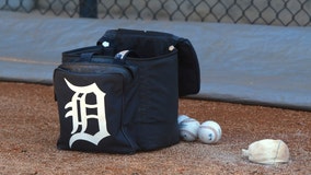 Tigers, Peralta slow AL-East leading Rays 2-0