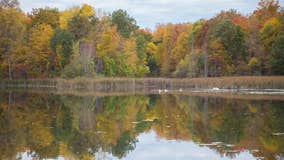 When will leaves change color in Michigan this fall? This map shows you