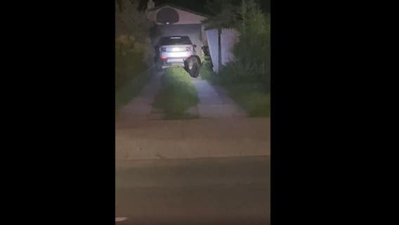 VIDEO: Bear causes disturbance outside Traverse City home