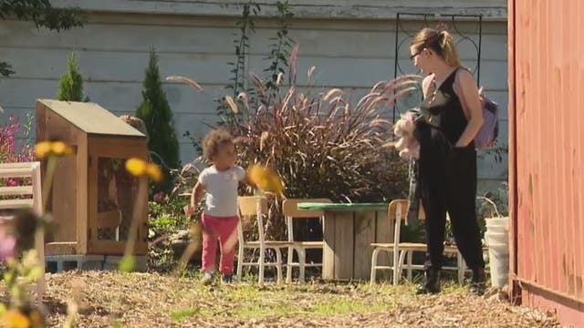 Detroit's Leaf and Blossom asks for community help finishing children's butterfly and art garden