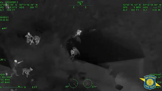 Video: MSP troopers use chopper to find Detroit shooting suspect hiding on roof