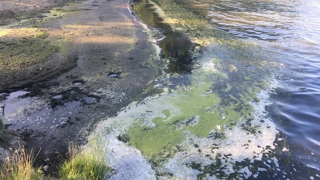 Only one Michigan beach closed headed into Memorial Day Weekend