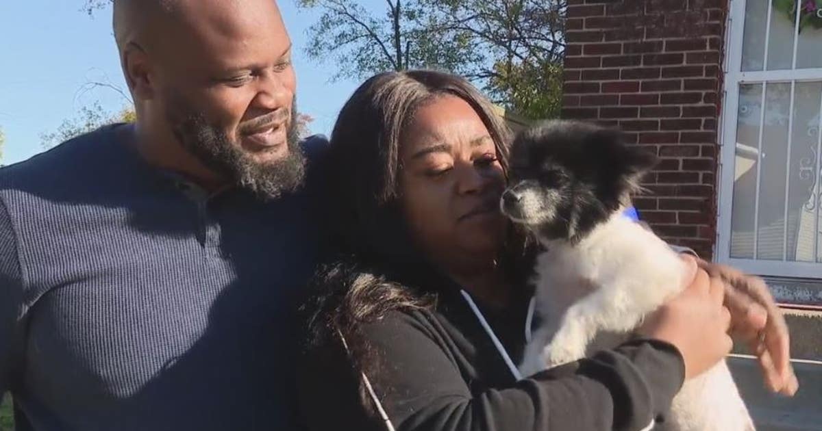 Detroit family reunited with lost Pomerian after 10 months | FOX 2 Detroit
